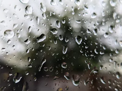 Heavy Rain