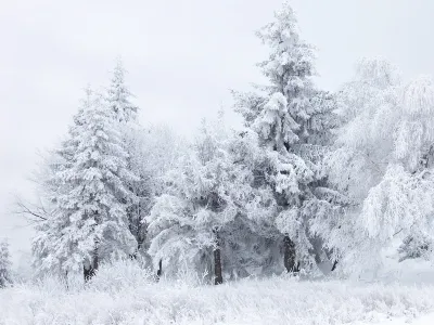 First Snowfall
