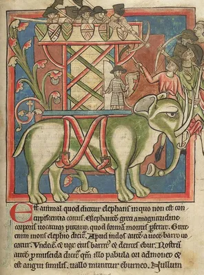 Elephant Drawn From Description