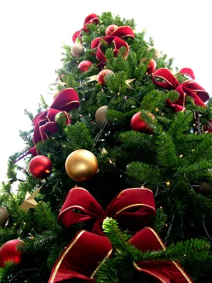 Decorating the Tree