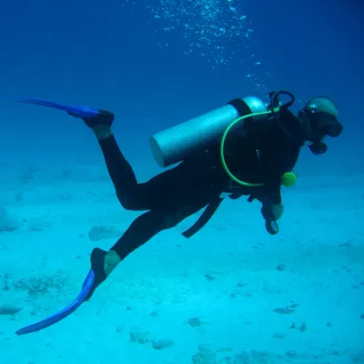 Marine Biologist